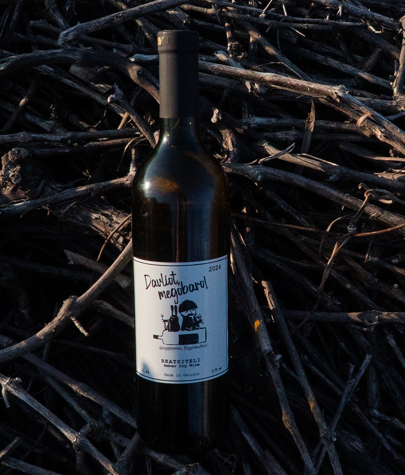 Rkatsiteli amber dry wine "Davliot, Megobaro!" (2024)