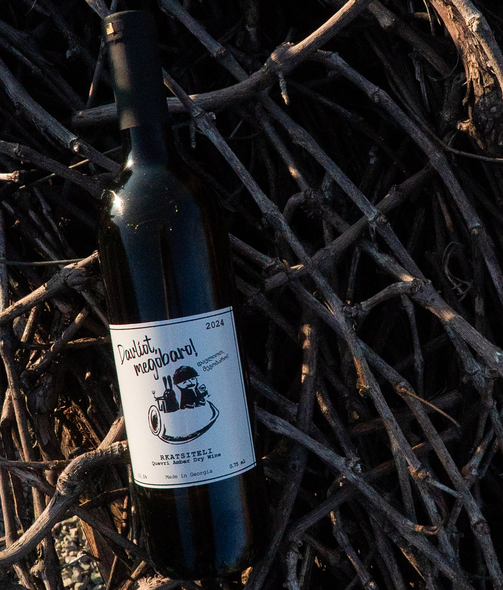 Rkatsiteli Qvevri amber dry wine "Davliot, Megobaro!" (2024)