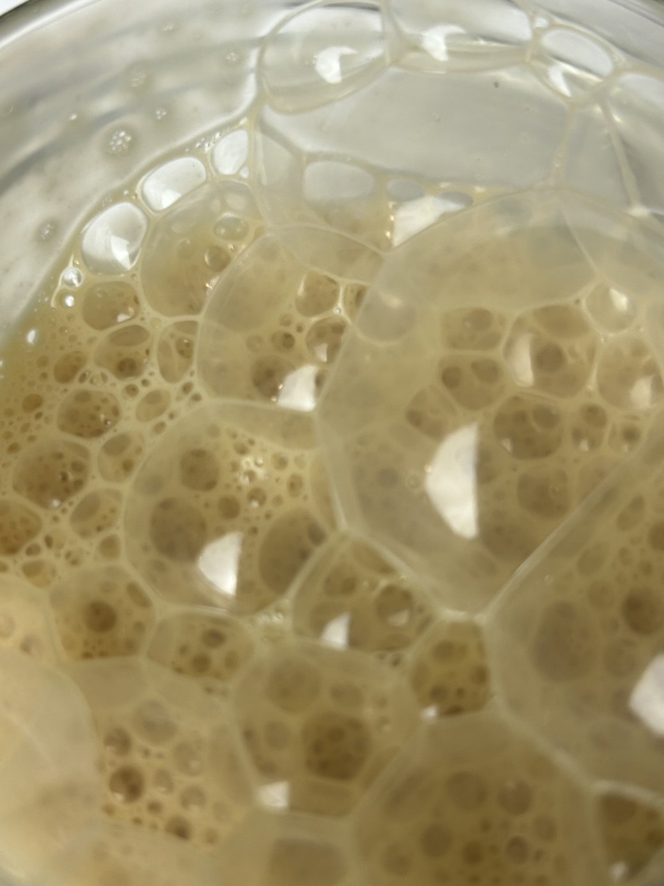 Goat milk and grapeseed extract natural Shampoo